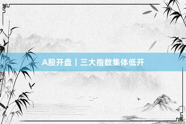 A股开盘｜三大指数集体低开